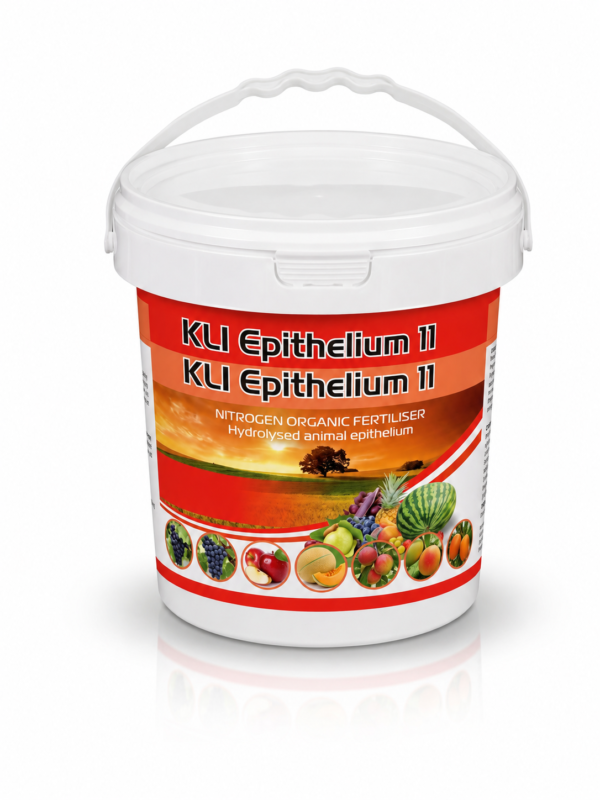 KLI Epithelium 11