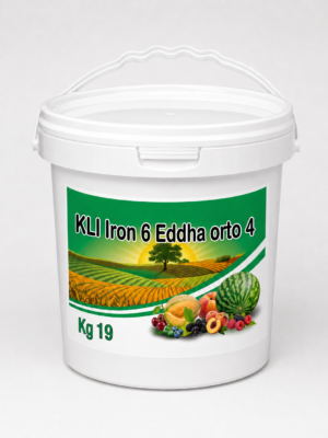 ChatGPT Image Jul 7, 2026, 05_51_16 PM KLI Iron 6 EDDHA Orto 4