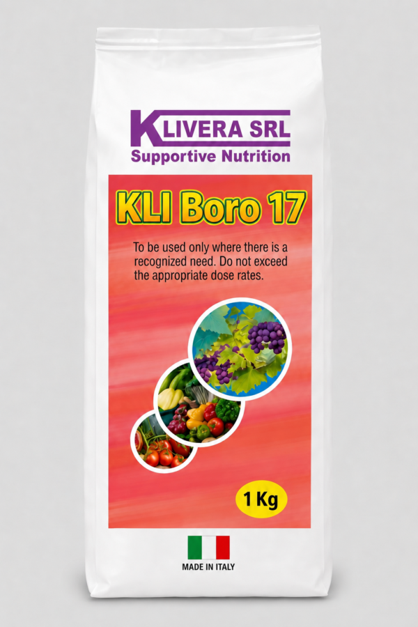 KLI Boro 17