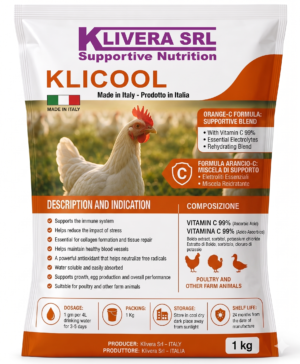KLICOOL