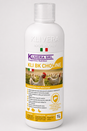 KLI BK CHOLINE 1 (2) KLI BK CHOLINE