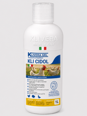 KLI CIDOL 1 KLI CIDOL