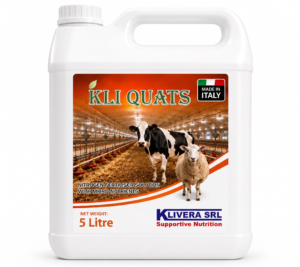 KLI Quats KLI QUATS