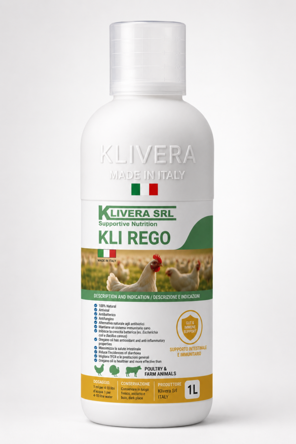 KLI REGO 1 KLI REGO