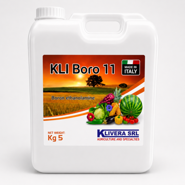 KLI Boro 11