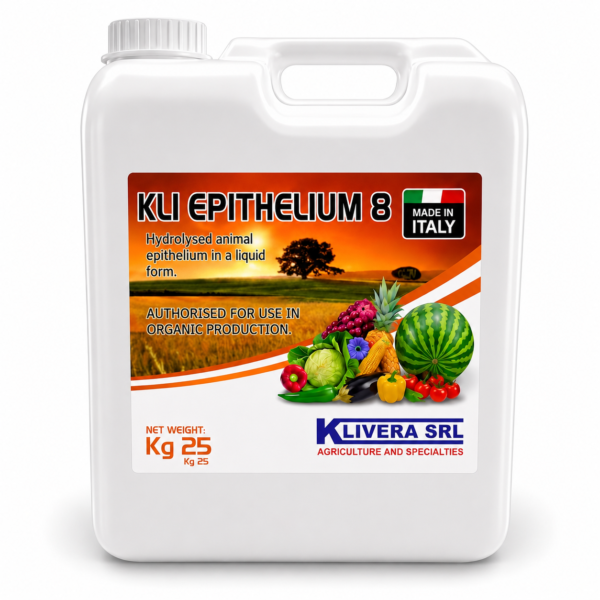 KLI Epithelium 8