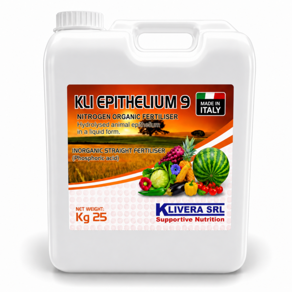 KLI Epithelium 9