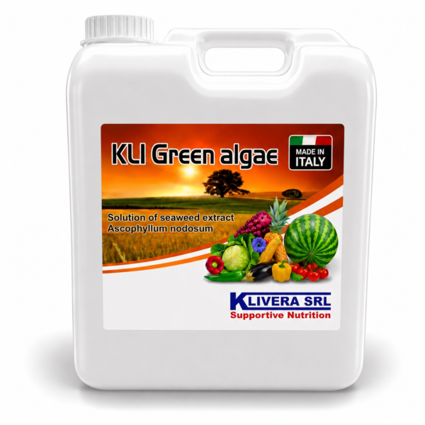 KLI green algae KLI Green Algae
