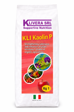 KLI Kaolin P