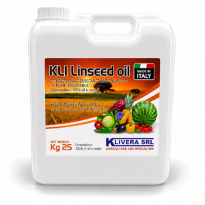 KLI Linseed Oil