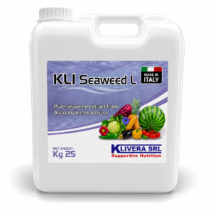 KLI Seaweed L